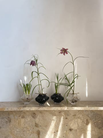 Vase Canyon Mini 8 cm - Transparent - Hein Studio