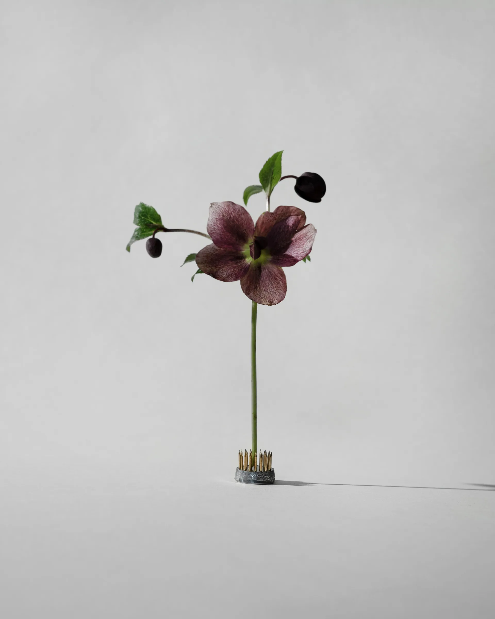 Vase Kenzan, Ø2,3 cm Hein Studio