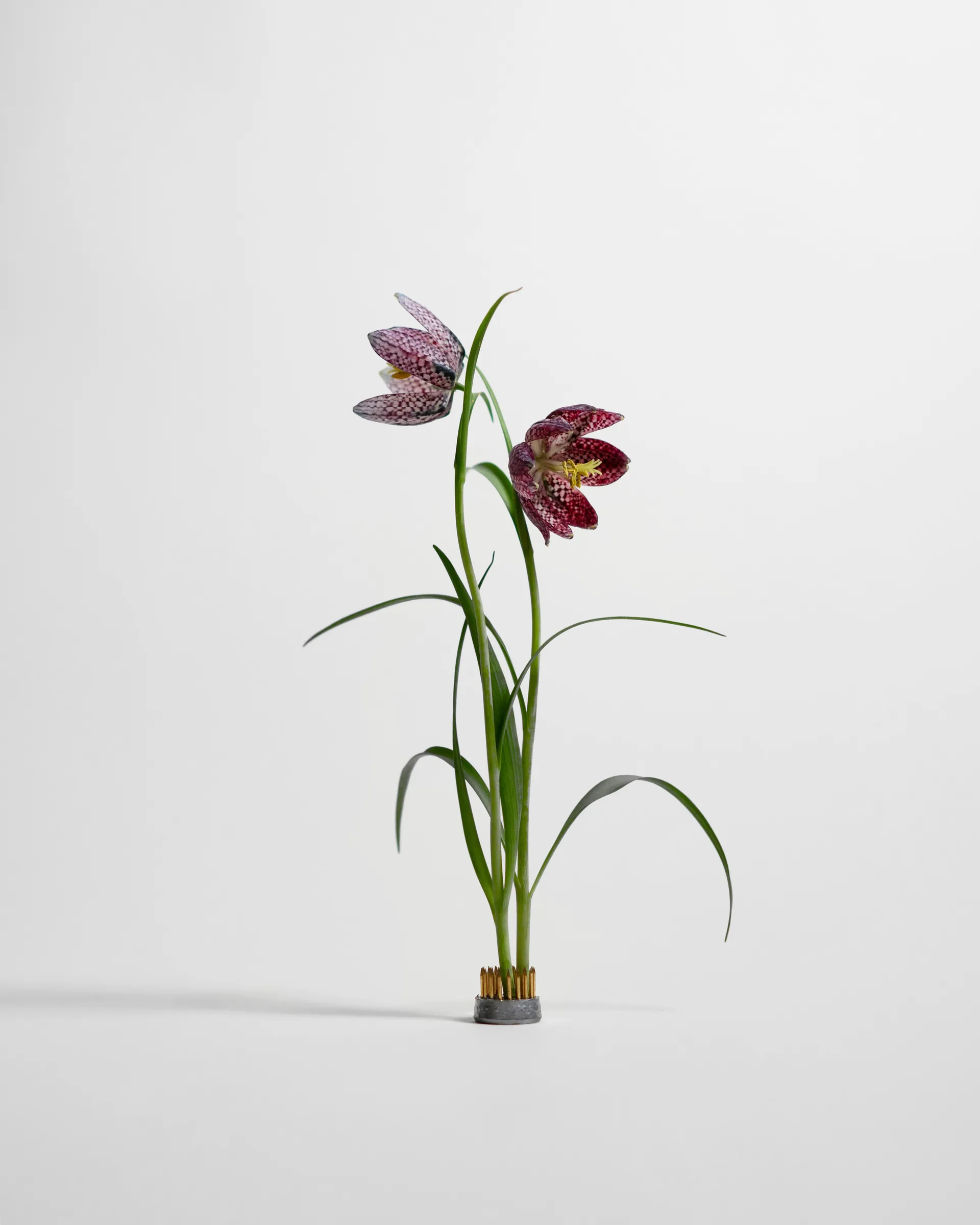 Vase Kenzan, Ø2,3 cm Hein Studio