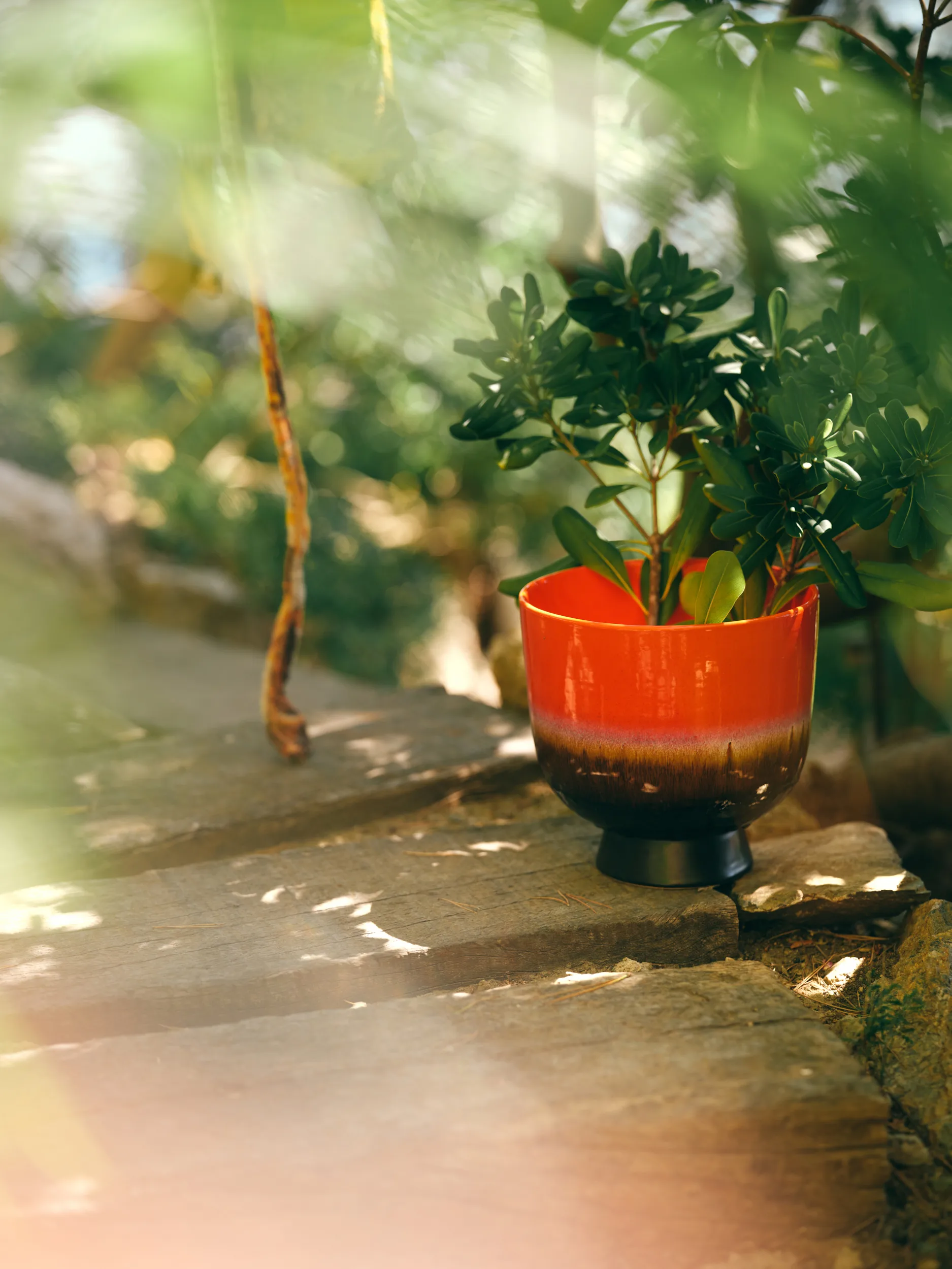 Pot de fleurs rétro Ø20,5 cm, Cherry red HKliving