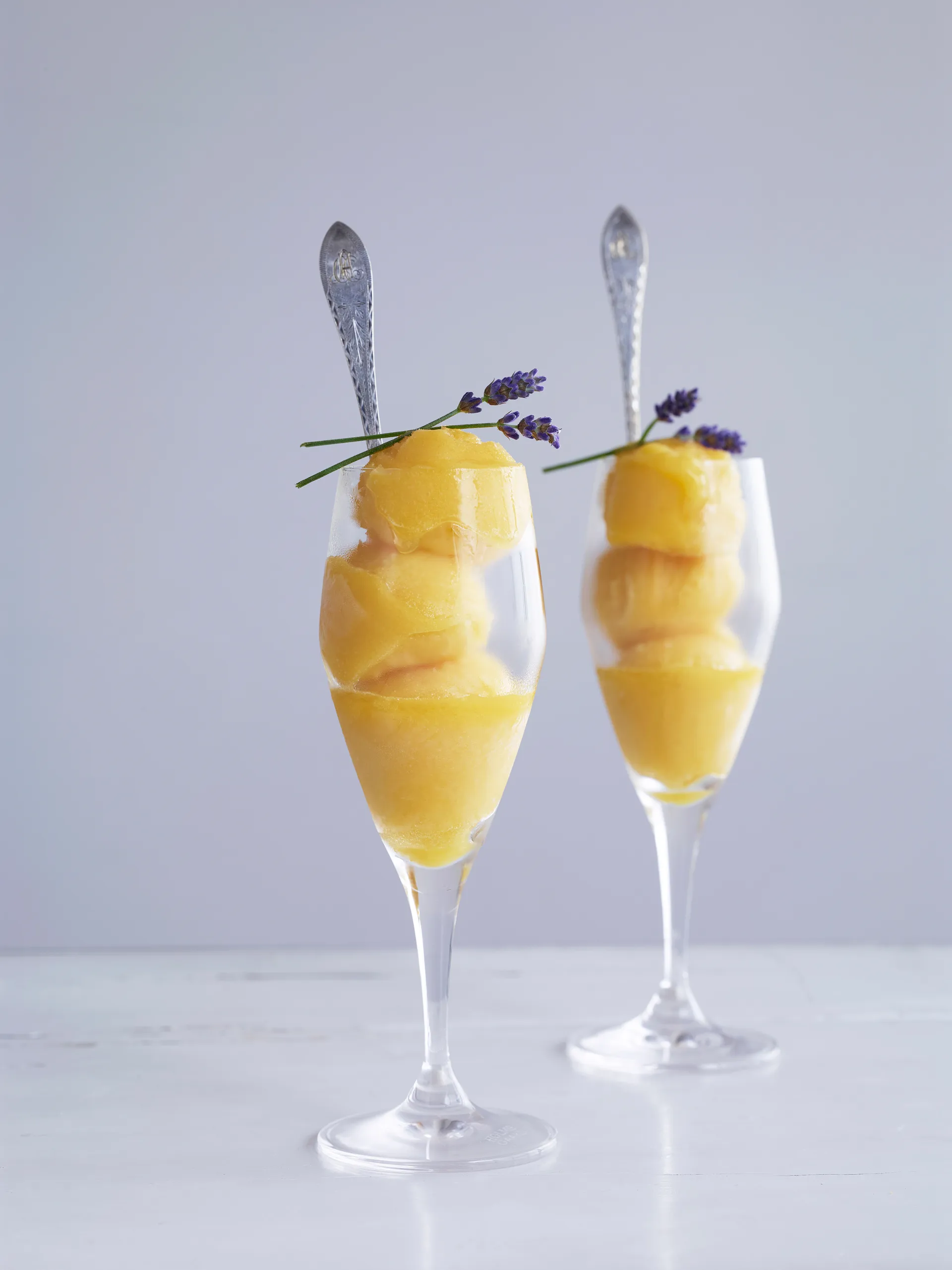 Verre à champagne Perfection 23 cl, lot de 6, Transparent Holmegaard