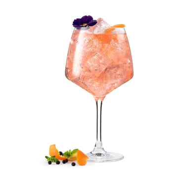 Verre à gin Perfection 90 cl Lot de 2 - Transparent - Holmegaard