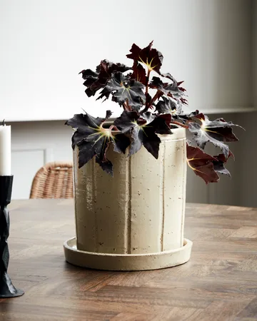 Pot de fleur avec soucoupe Julian Ø22 cm - Beige - House Doctor