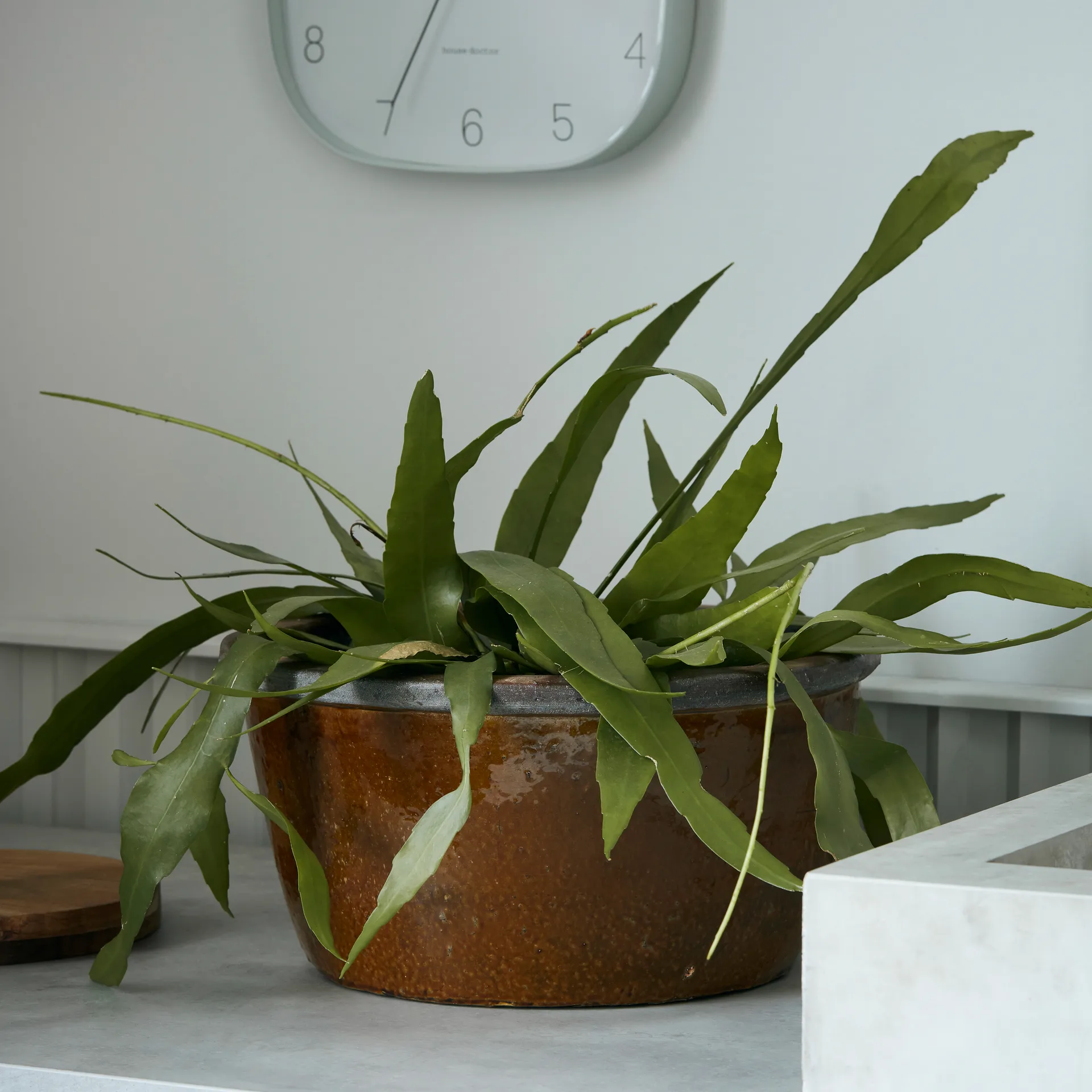 Pot Whai Ø37 cm, Jaune moutarde House Doctor