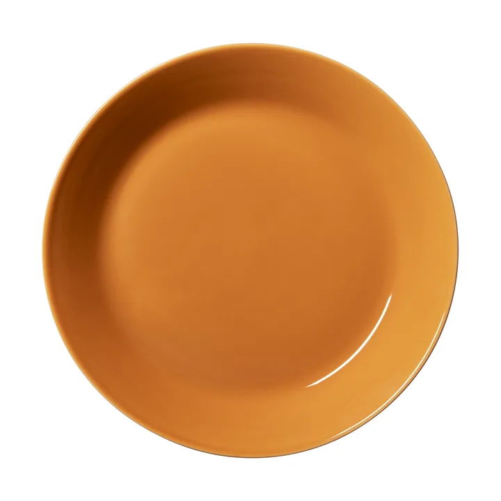 Assiette teema Ø21 cm - Ambre - Iittala