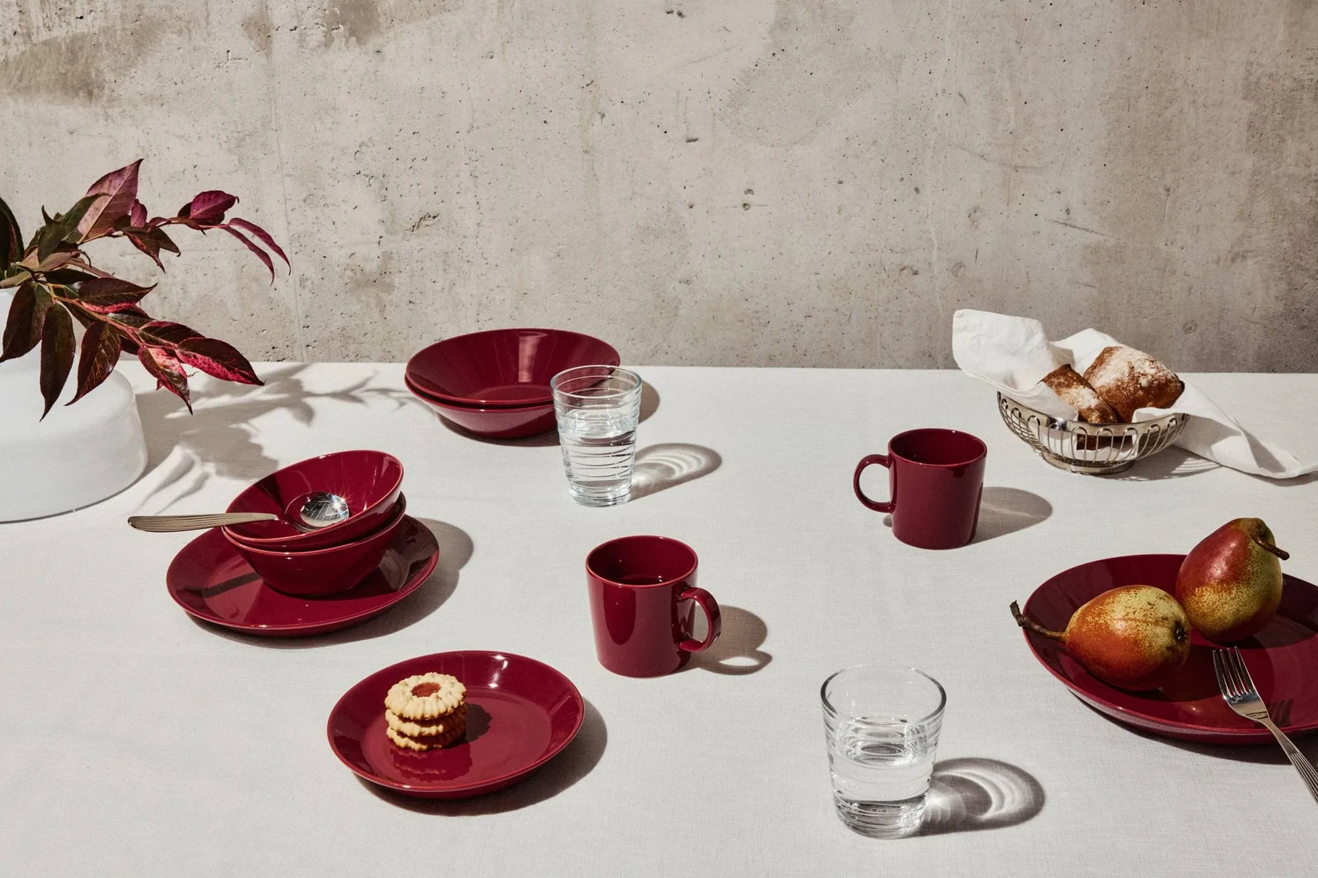 Assiette teema Ø21 cm, Cerise Iittala
