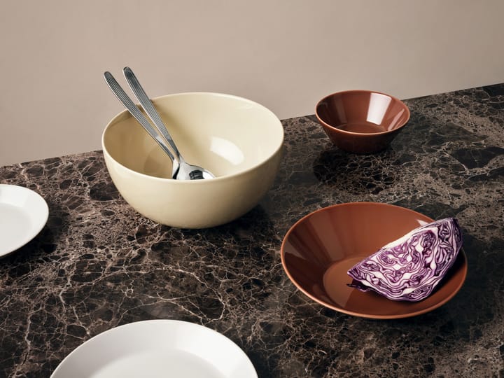 Bol Teema Ø21 cm, Vintage marron Iittala