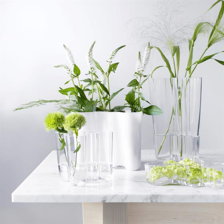 Coffret cadeau vase Aalto - transparent - Iittala