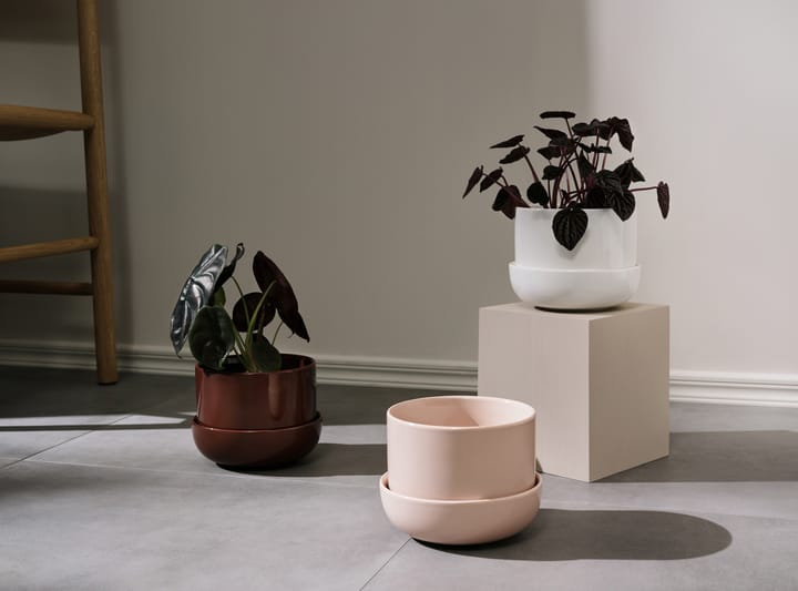 Pot avec soucoupe Nappula Ø17 cm h13 cm, Marron Iittala