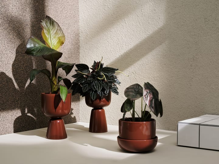 Pot Nappula Ø15.5 cm h23 cm, Marron Iittala