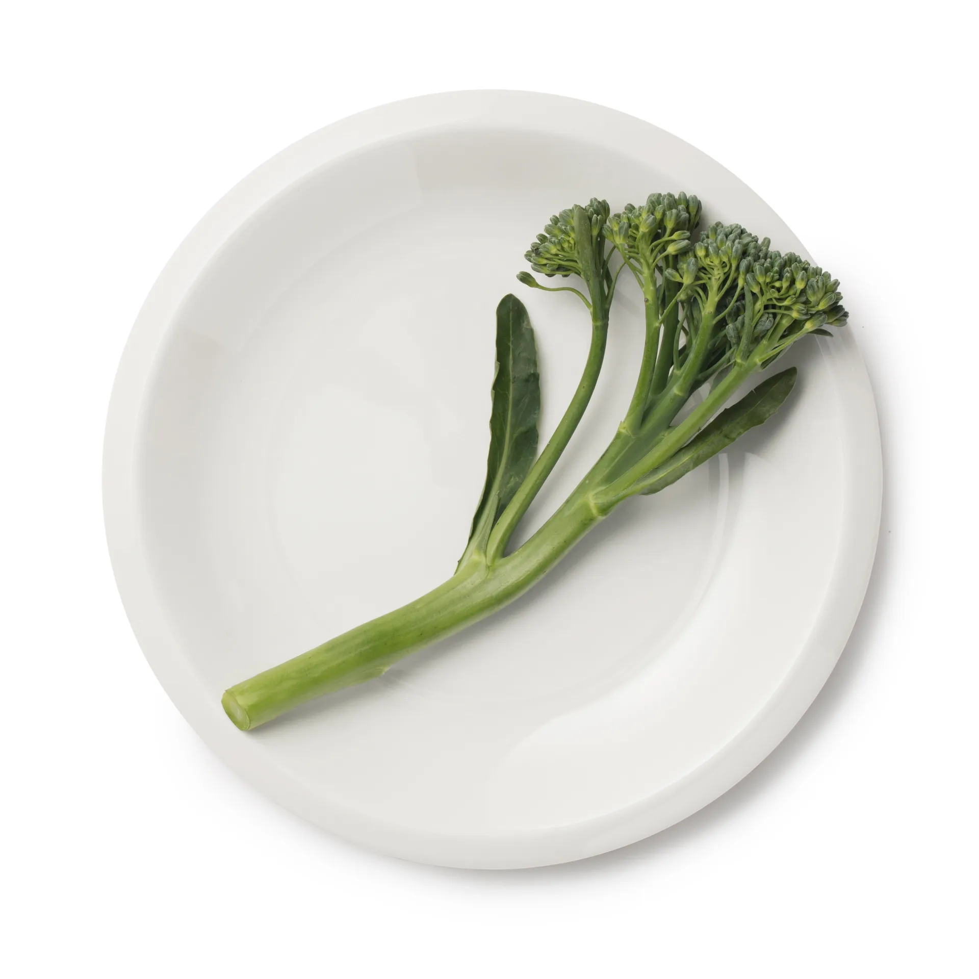 Raami assiette 17 cm, Blanc Iittala