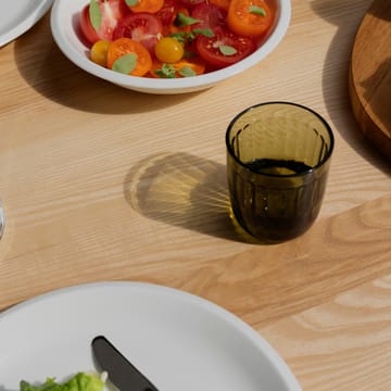 Raami verre à boire lot de 2 26 cl - Vert mousse - Iittala