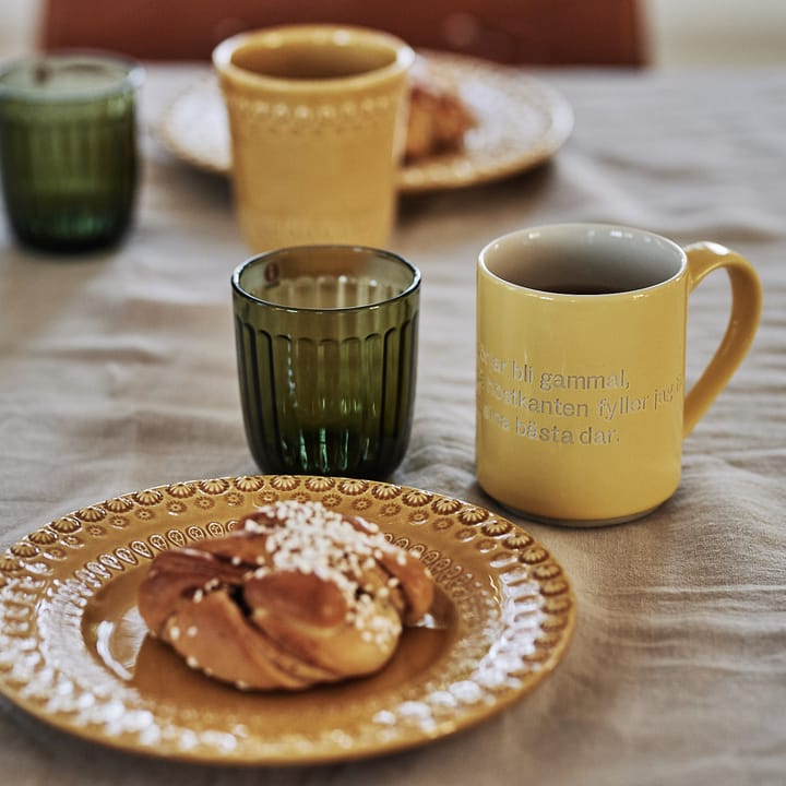 Raami verre à boire lot de 2 26 cl, Vert mousse Iittala