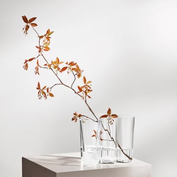 Vase Alvar Aalto transparent - 16 cm - Iittala