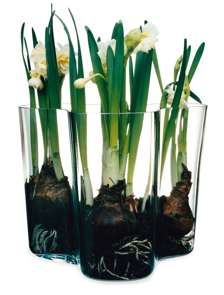 Vase Alvar Aalto transparent - 16 cm - Iittala