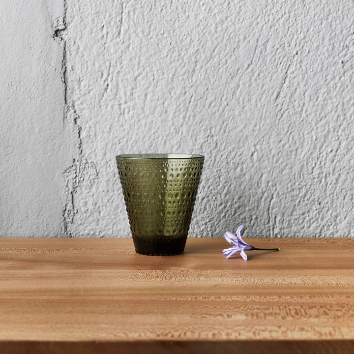 Verres Kastehelmi 30 cl, lot de 2, vert mousse Iittala