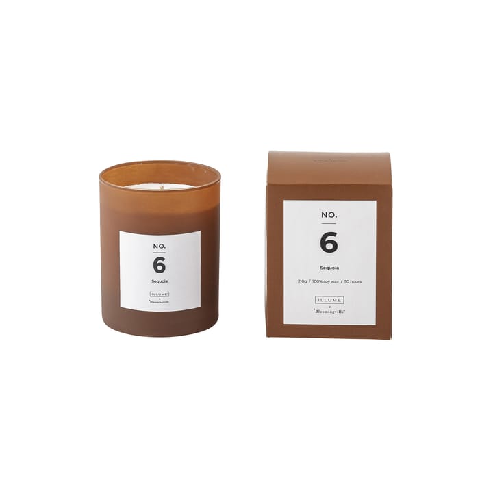 Bougie parfumée NO. 6 Sequoia - 200 g + Giftbox - Illume x Bloomingville