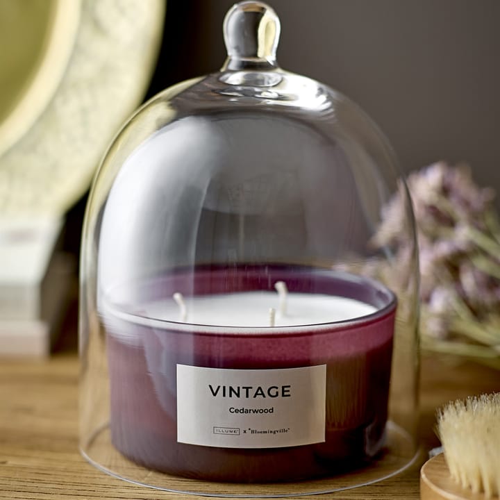 Bougie parfumée Vintage Cedarwood, 250 g Illume x Bloomingville