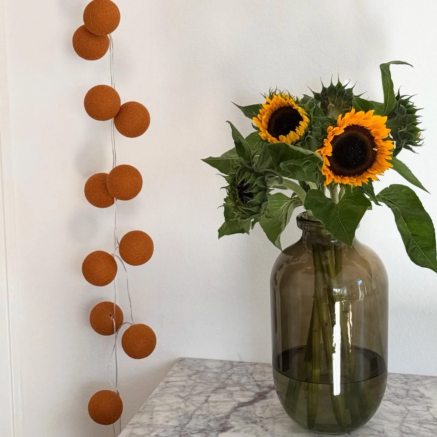 Guirlande lumineuse Irislights, Terracotta, 20 boules Irislights