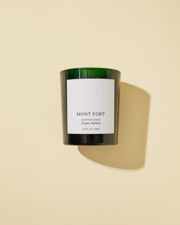 Bougie parfumée Mont Fort - 240 g - Juniper