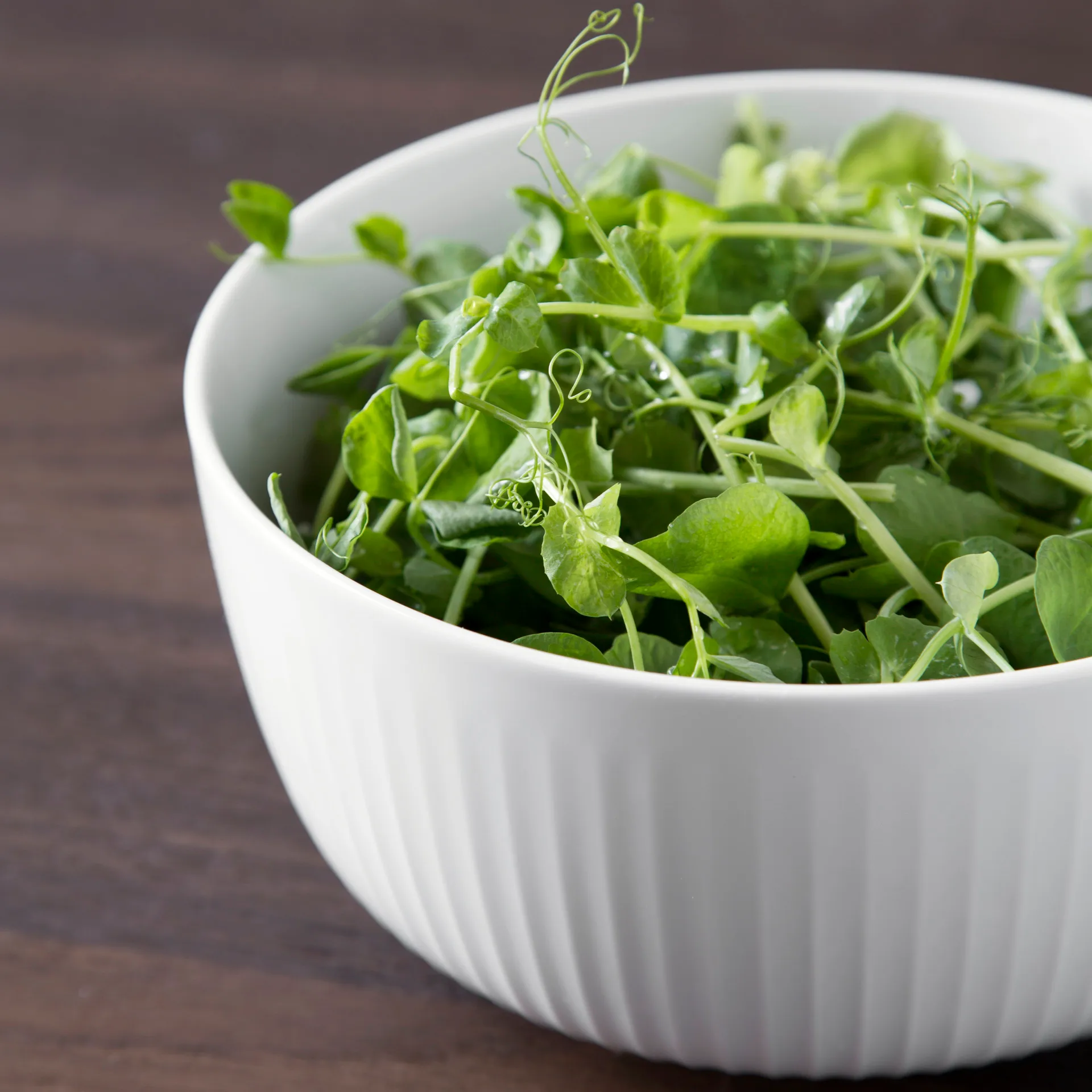 Bol Hammershøi Ø21 cm, blanc Kähler