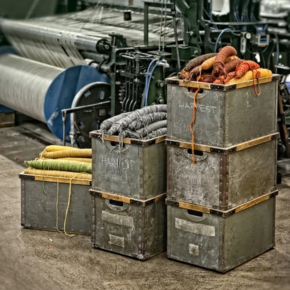 Tapis Harvest, Bleu 300x200 cm Kasthall