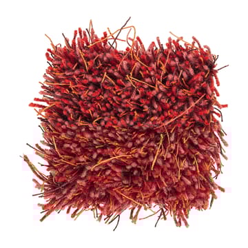 Tapis Moss 200x300 cm - Deep coral - Kasthall