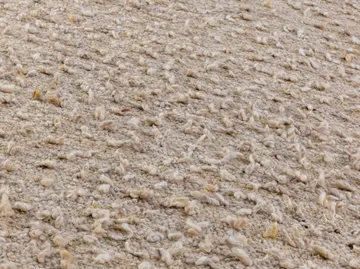 Tapis Woolly - White, 200x300 cm - Kateha