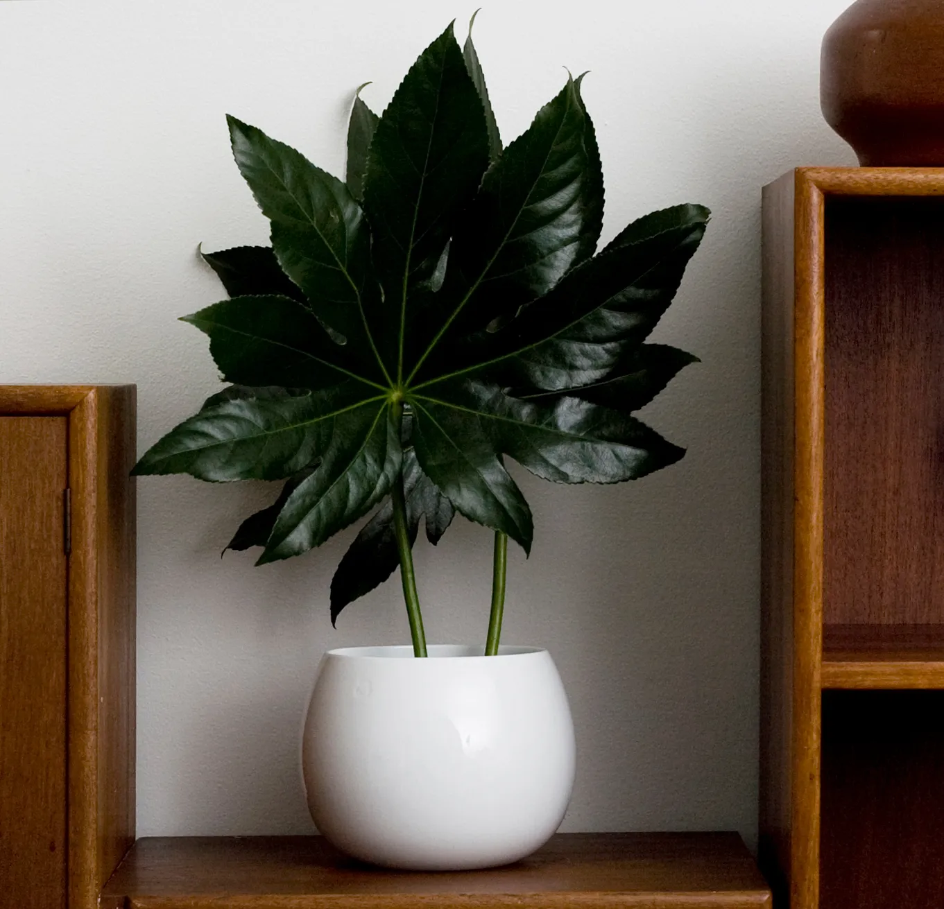 Bol DROP Ø 20,2 cm, White Kay Bojesen