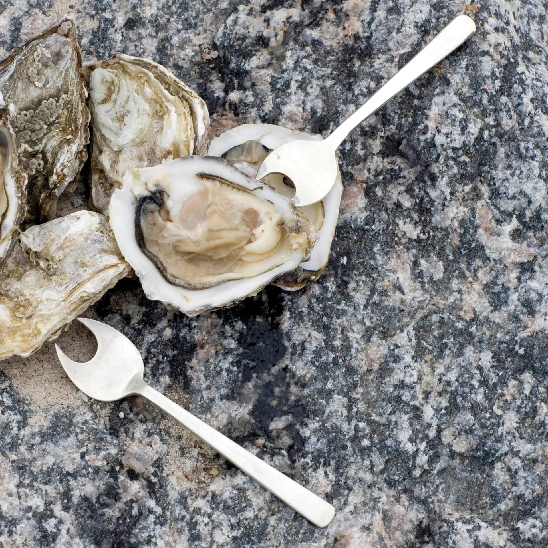 Couverts à fruits de mer Grand Prix 8 pièces, Matte steel Kay Bojesen