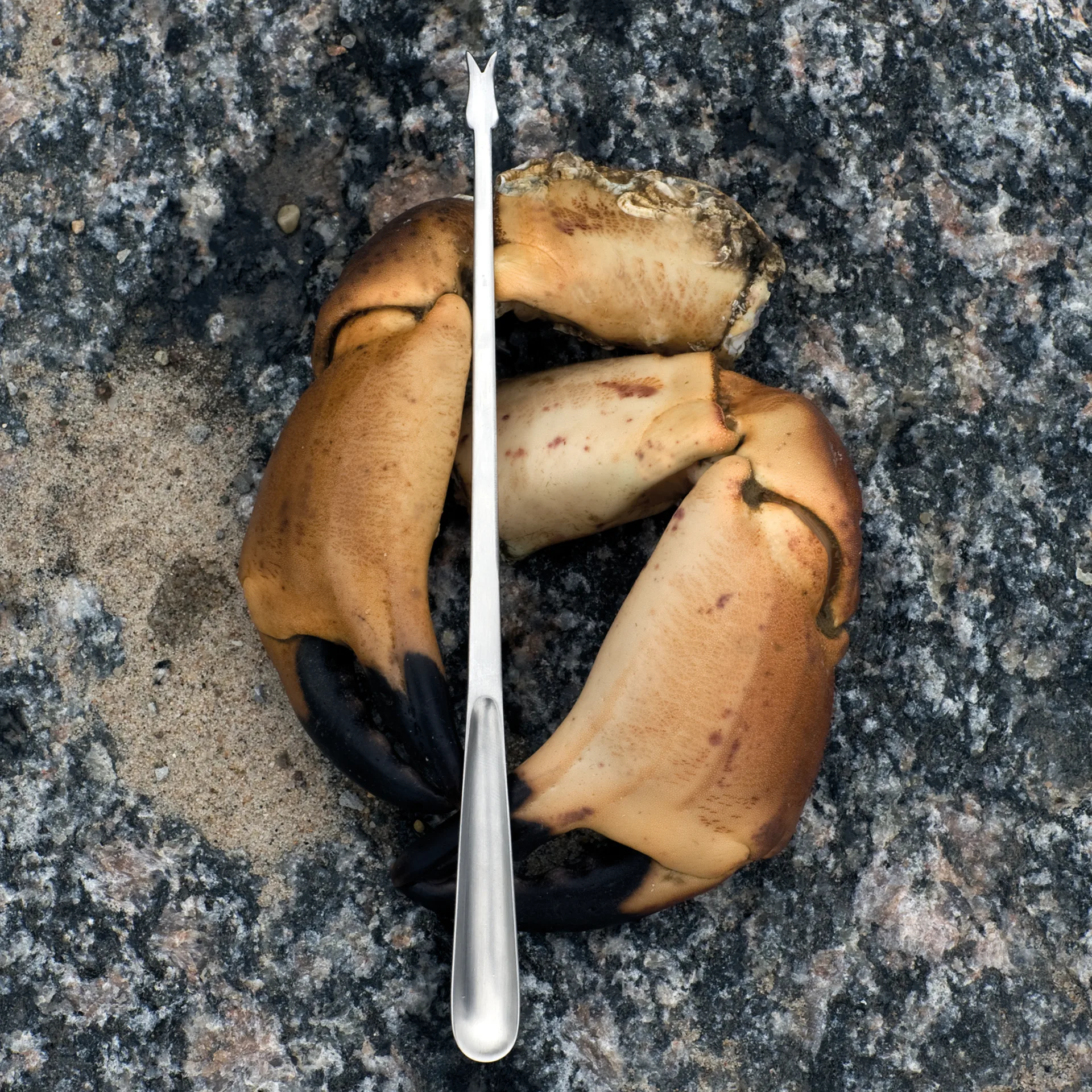 Couverts à fruits de mer Grand Prix 8 pièces, Matte steel Kay Bojesen