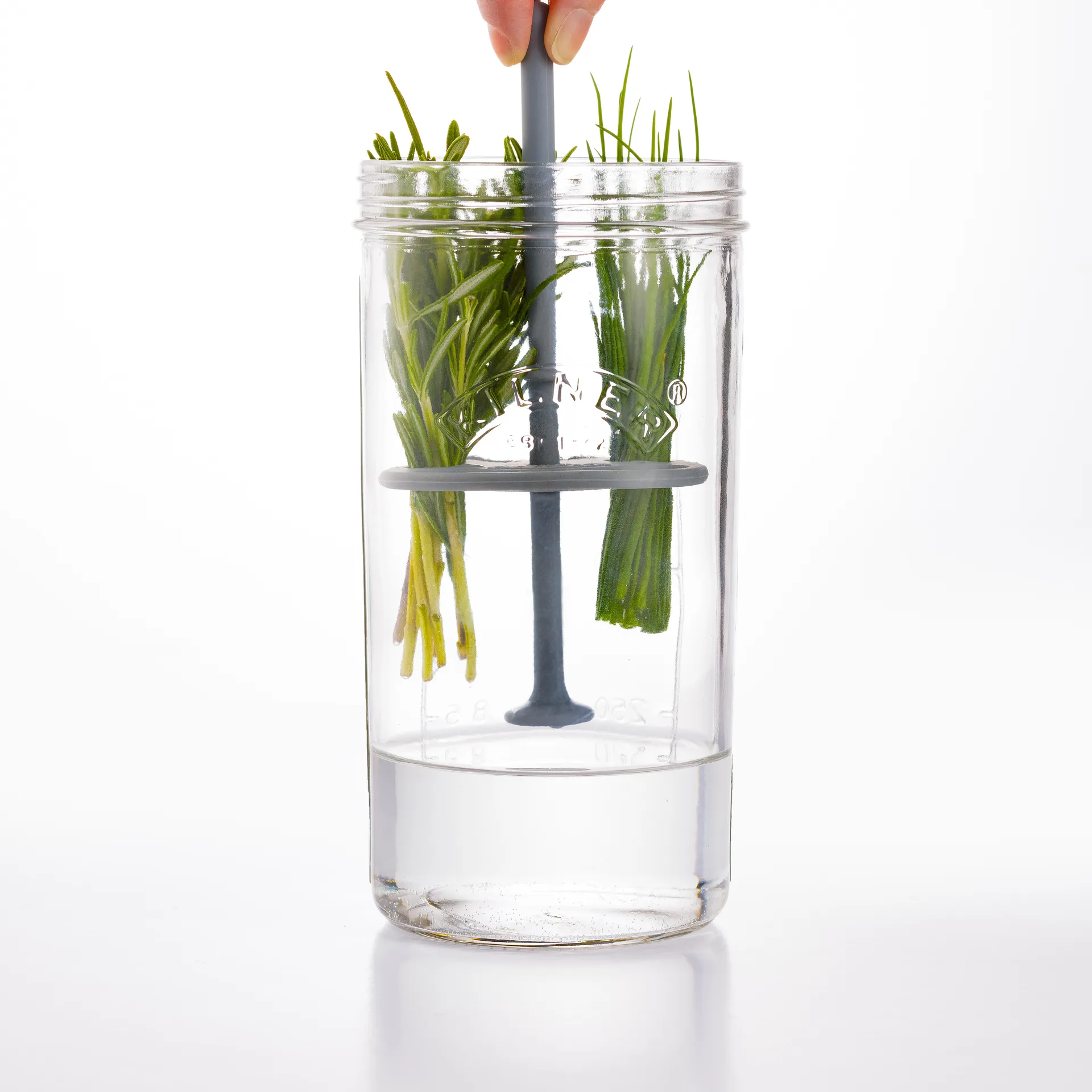 Boîte de conservation pour herbes Kilner, Clair Kilner