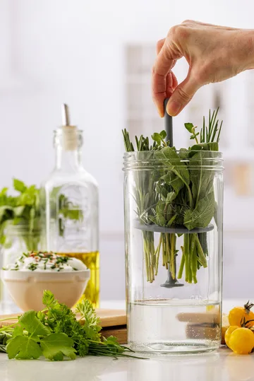 Boîte de conservation pour herbes Kilner - Clair - Kilner