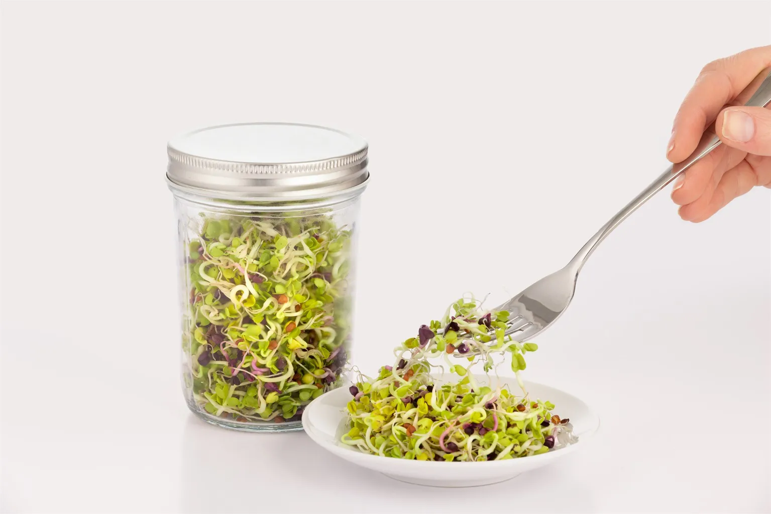 Set de germination Kilner, Transparent-blanc, 500 ml Kilner