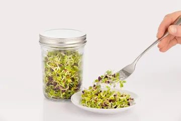 Set de germination Kilner - Transparent-blanc, 500 ml - Kilner