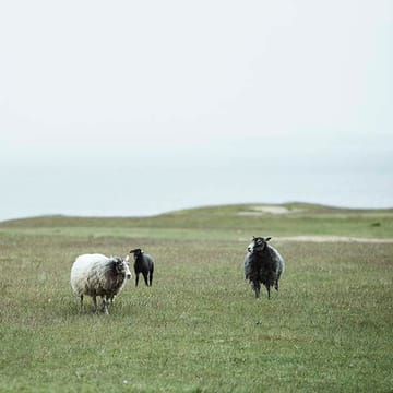 Plaid en laine Velvet - rouille - Klippan Yllefabrik
