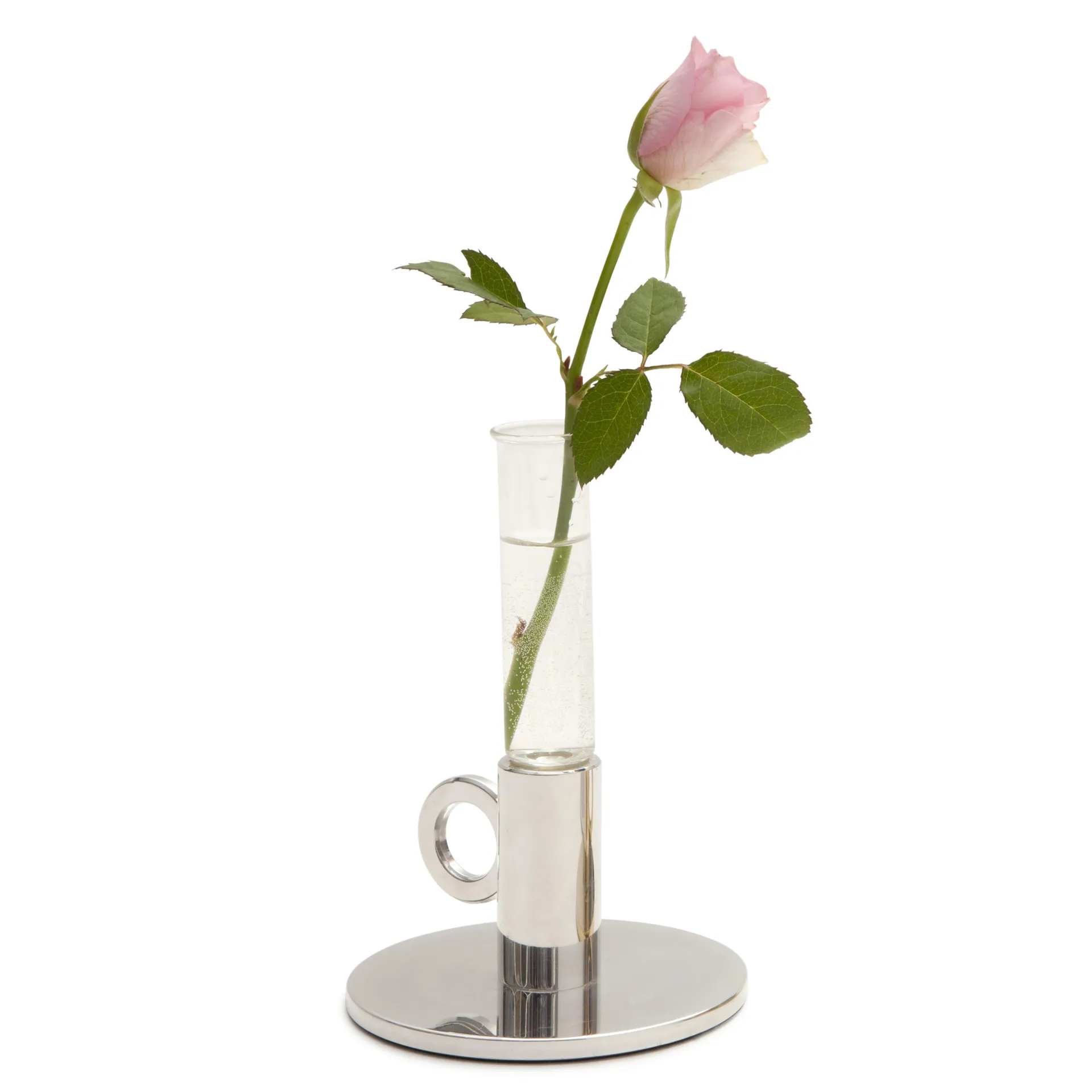 Insert en verre Vesper, flora (vase) KLONG