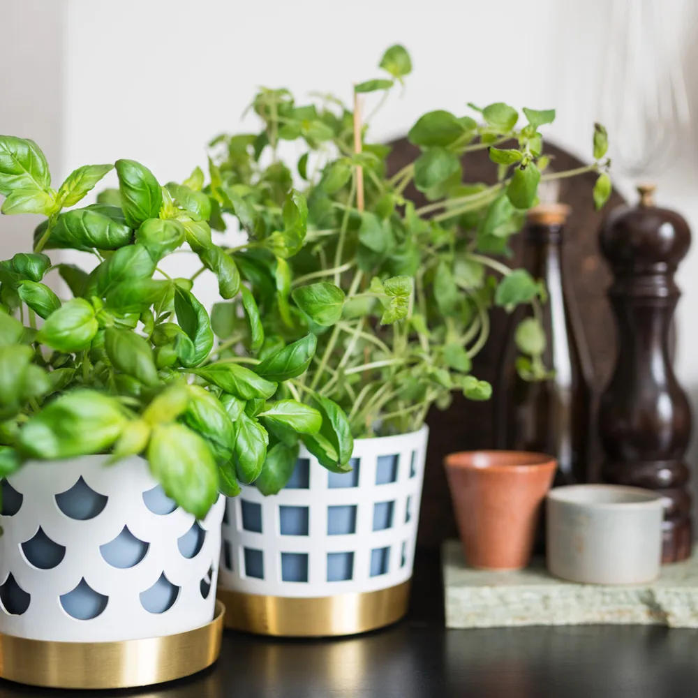 Pot Trio Pot Square, beige, moyen Ø18 cm KLONG