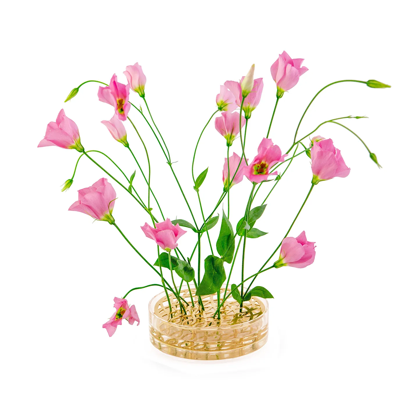 Vase Äng pond, Laiton KLONG