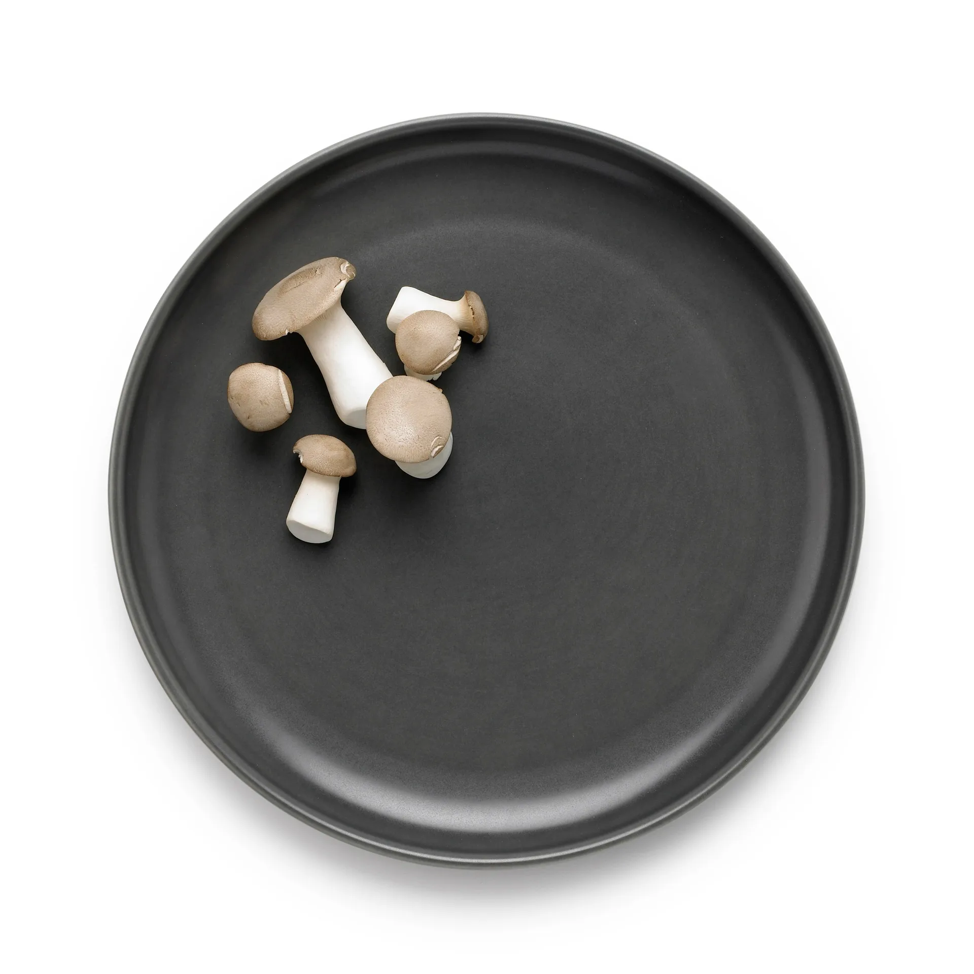 Assiette Tavola Ø27 cm Lot de 2, Gris Knabstrup Keramik