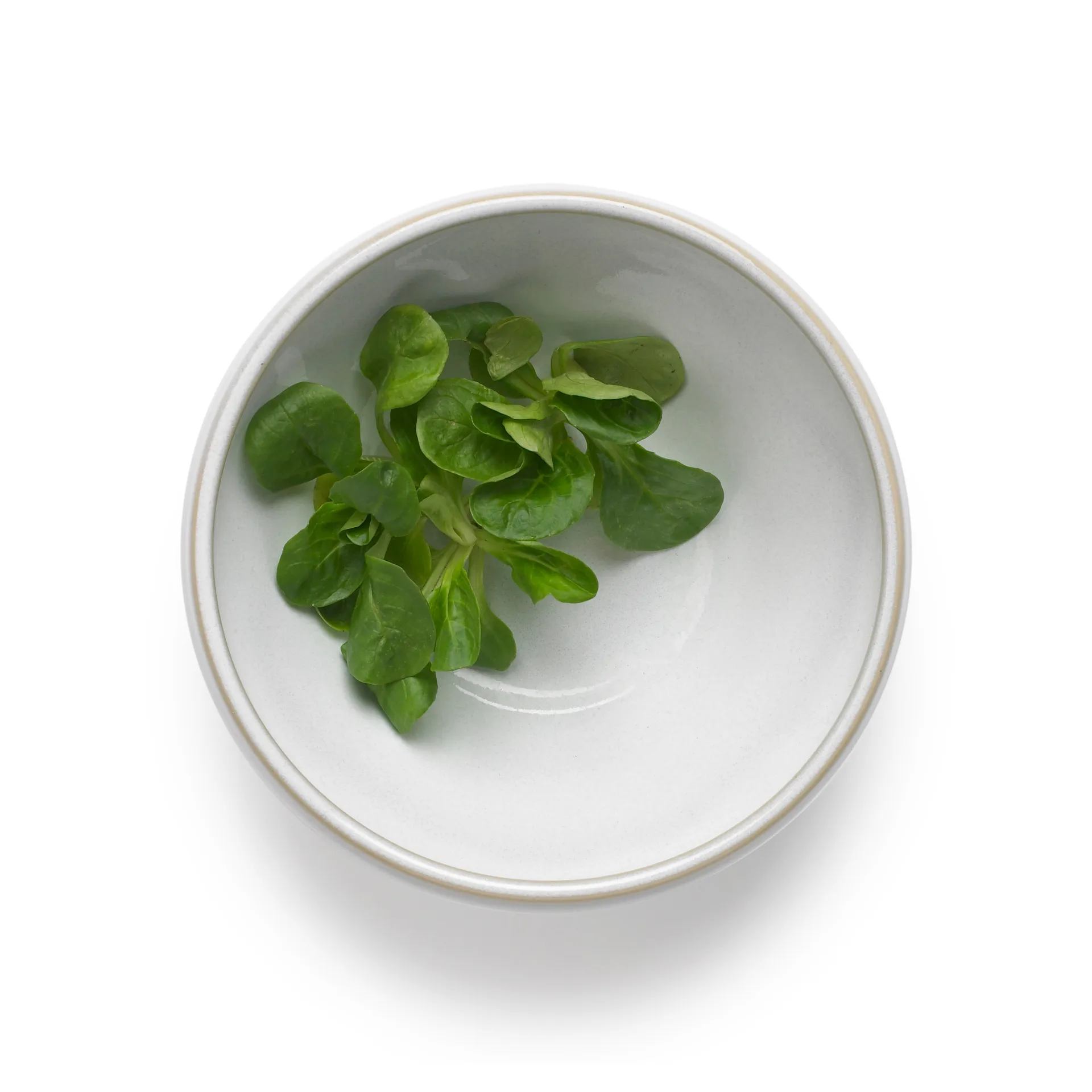 Bol à pâte Tavola 0,5 L Lot de 2, Blanc Knabstrup Keramik