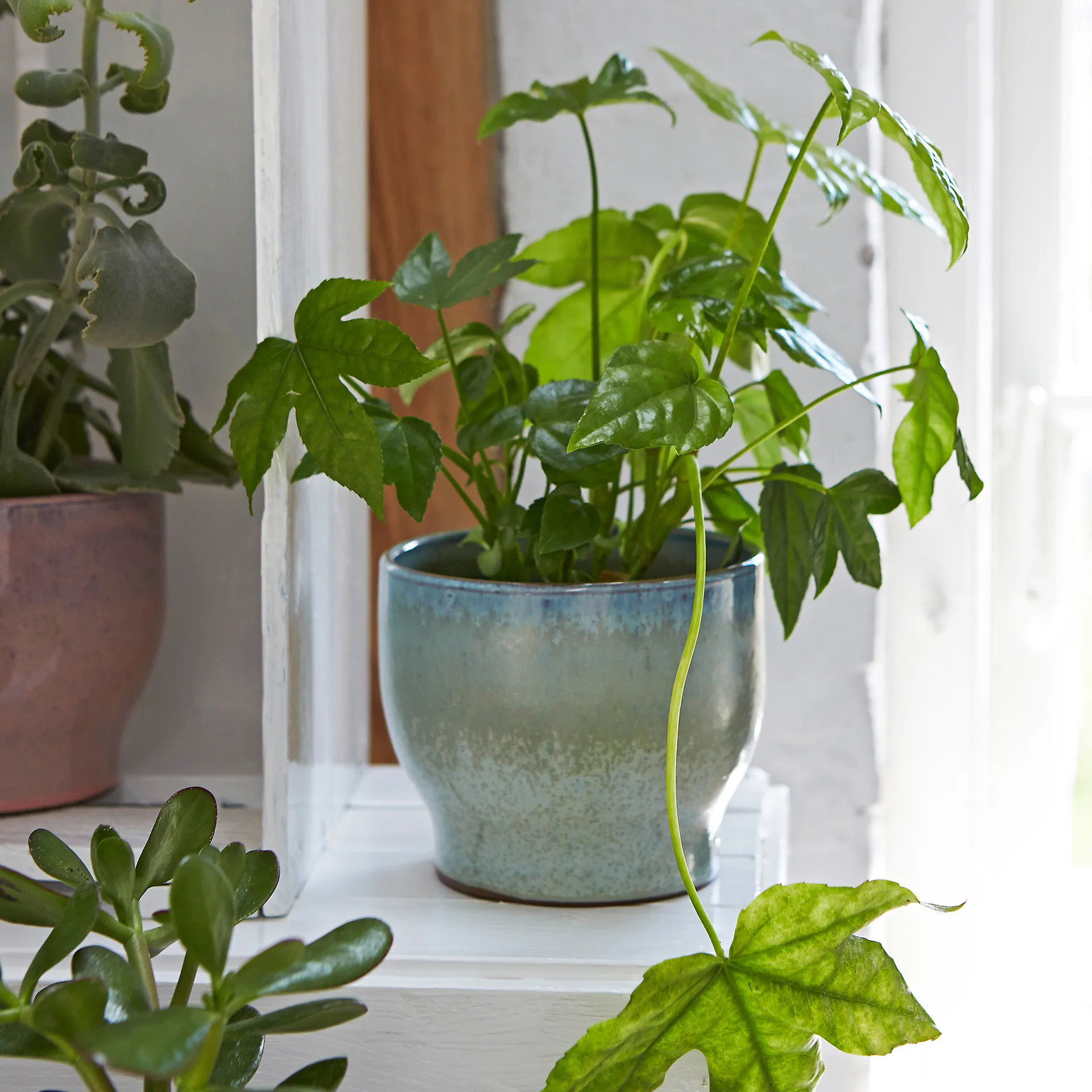 Cache-pot Knabstrup Ø14,5 cm, Soft menthe Knabstrup Keramik