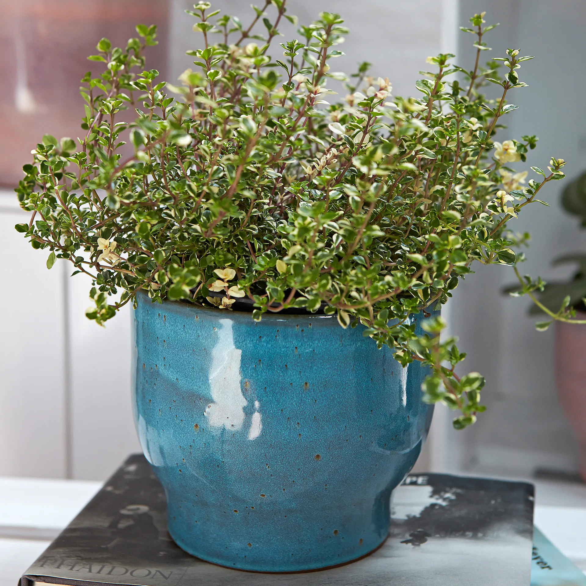 Cache-pot Knabstrup Ø16,5 cm, Dusty blue Knabstrup Keramik