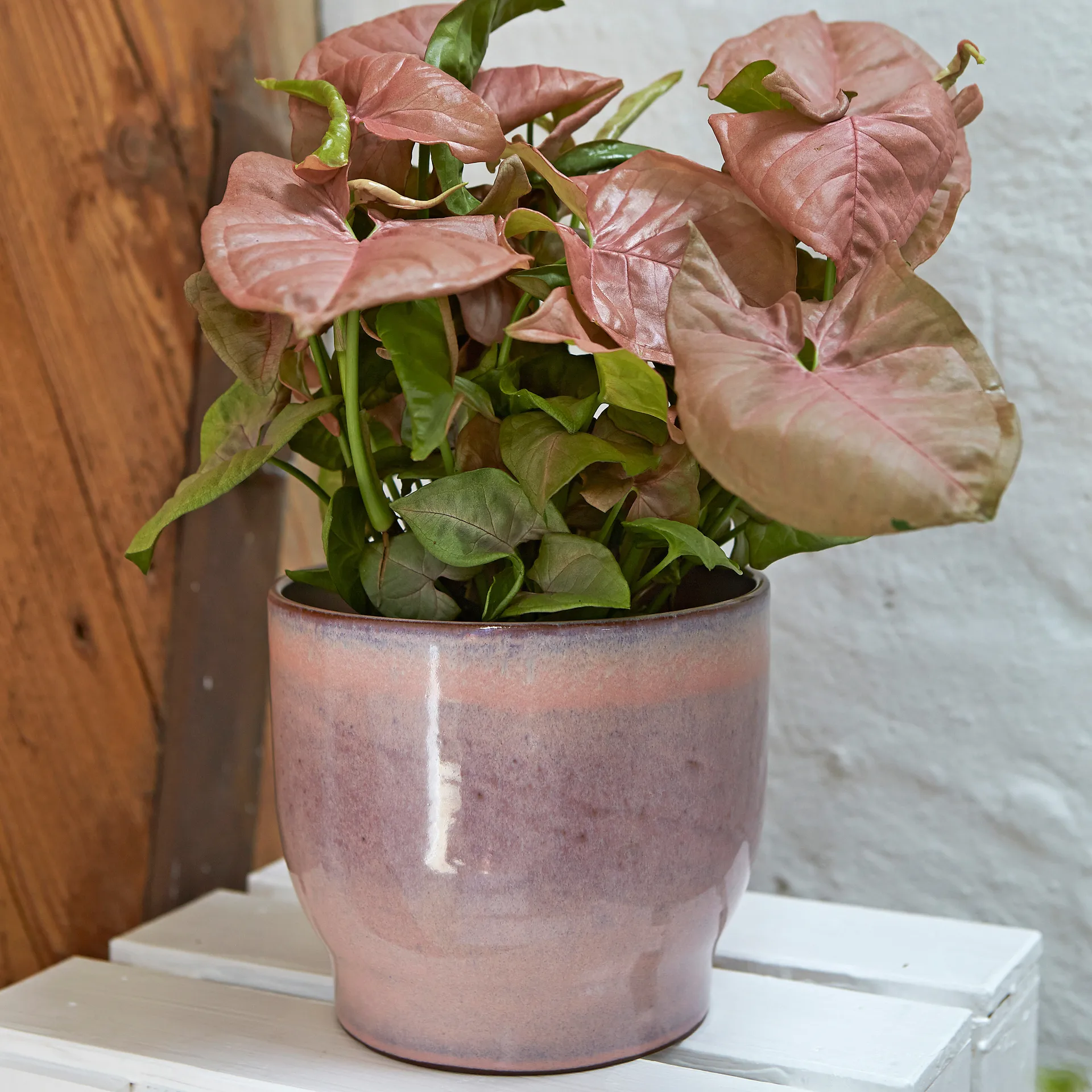 Cache-pot Knabstrup Ø16,5 cm, Rose Knabstrup Keramik