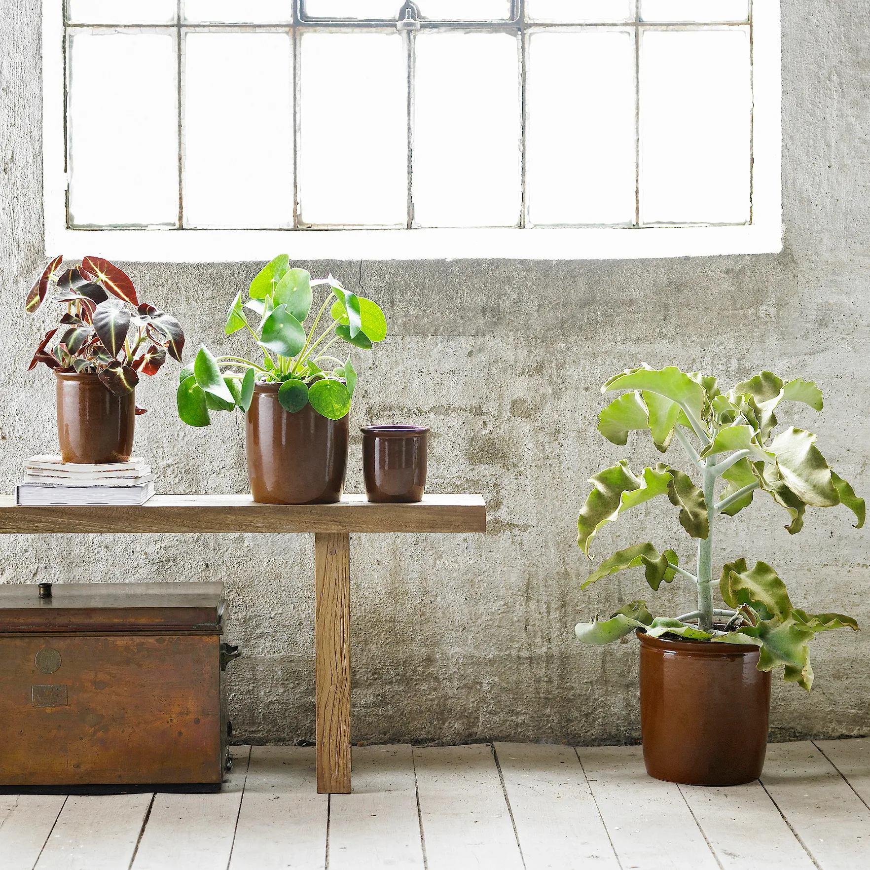 Pot Pickle 0,5 l, brun Knabstrup Keramik