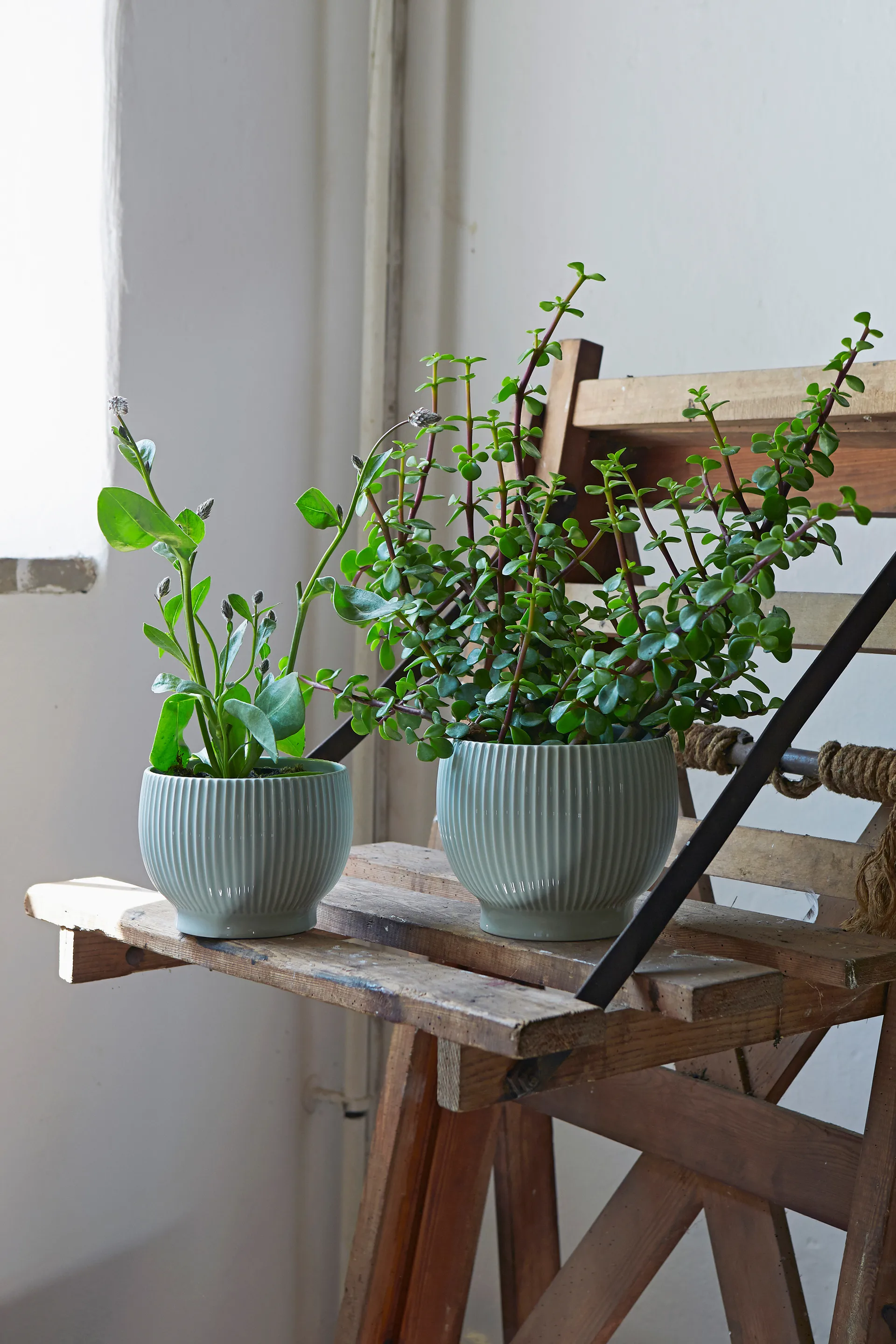 Pot rainuré Knabstrup Ø16,5 cm, Vert menthe Knabstrup Keramik