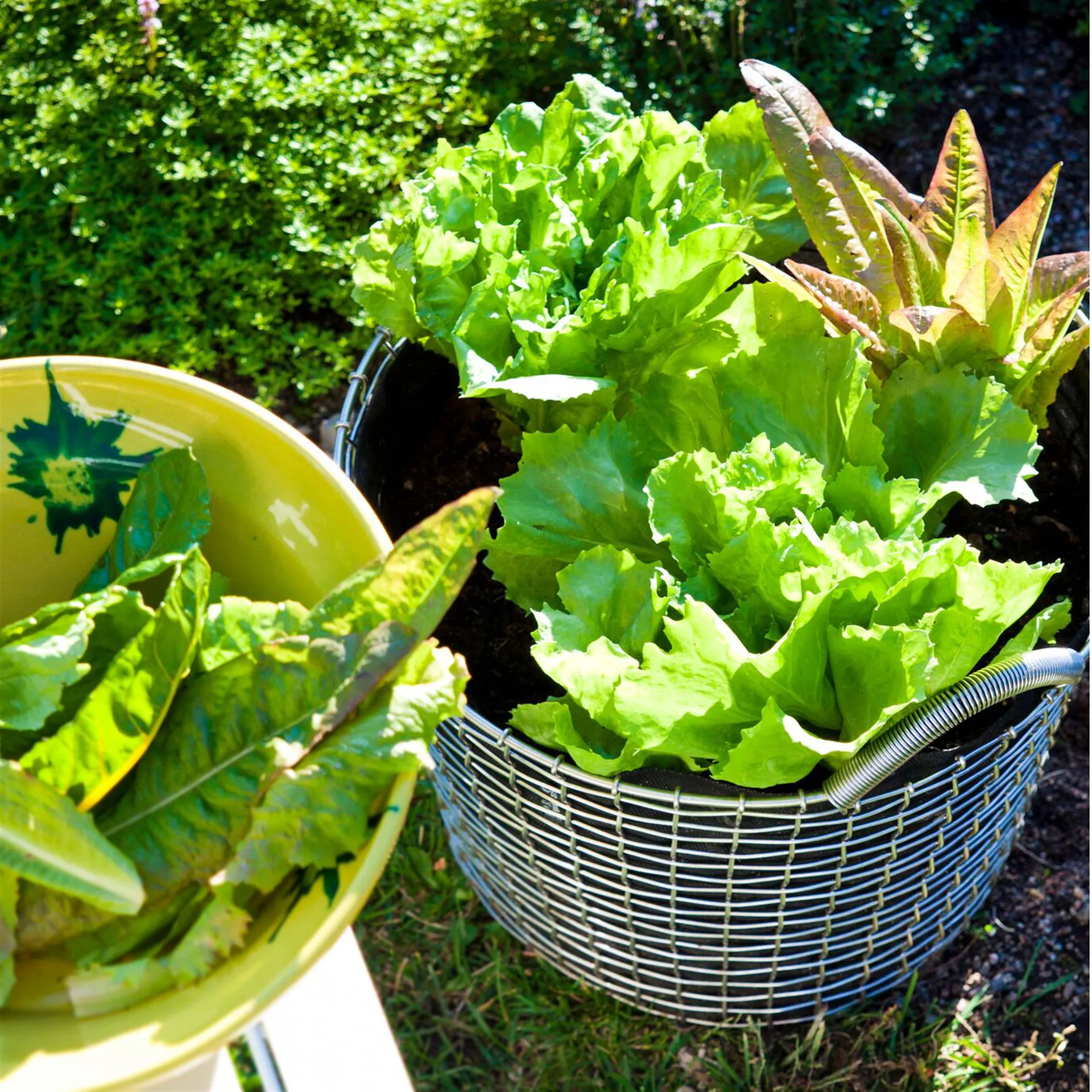 Panier Korbo bin 24, acier galvanisé KORBO