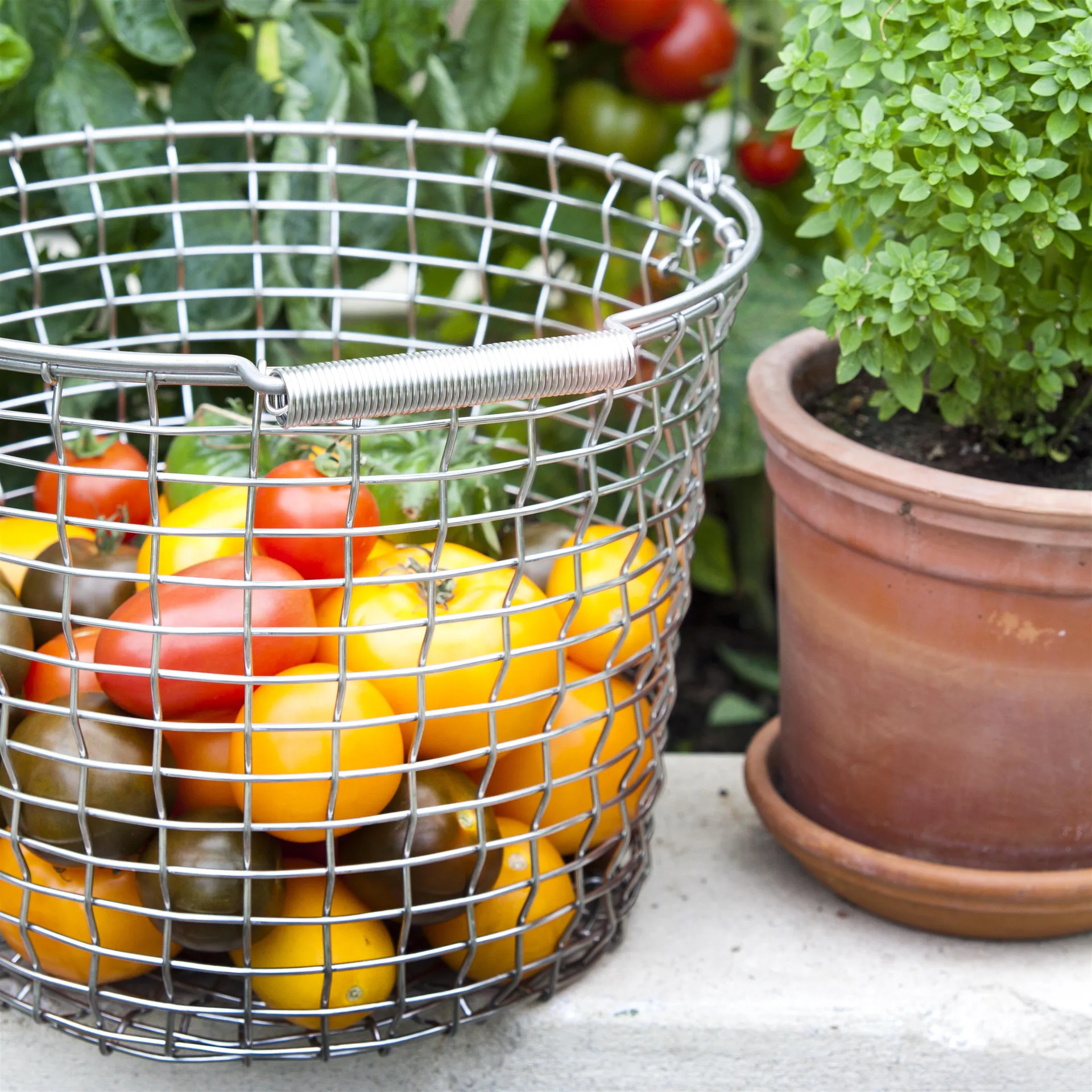 Panier Korbo bucket 16, acier inoxydable KORBO