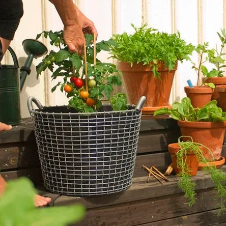 Panier Korbo Classic 24, acier galvanisé KORBO