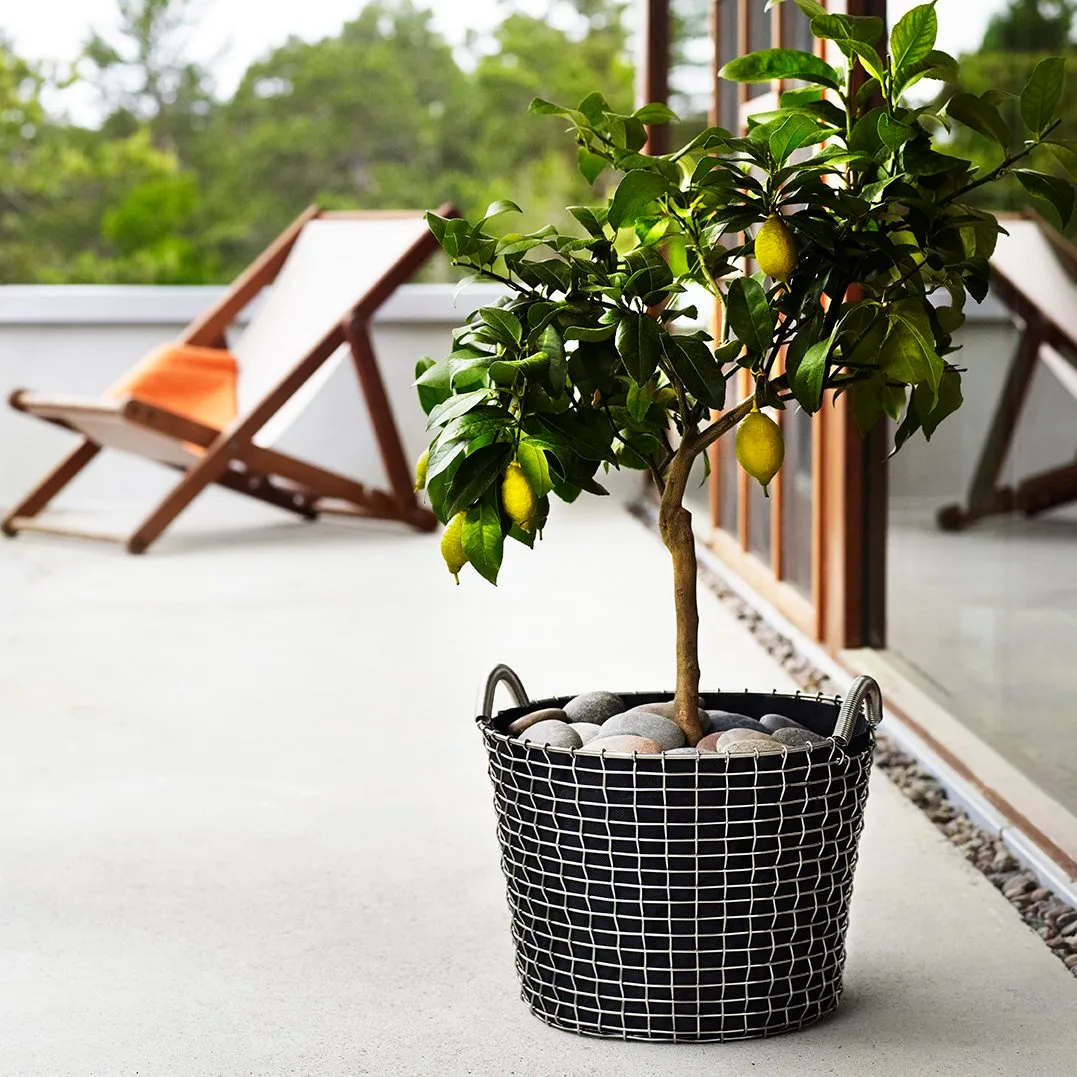 Panier Korbo Classic 24, acier galvanisé KORBO